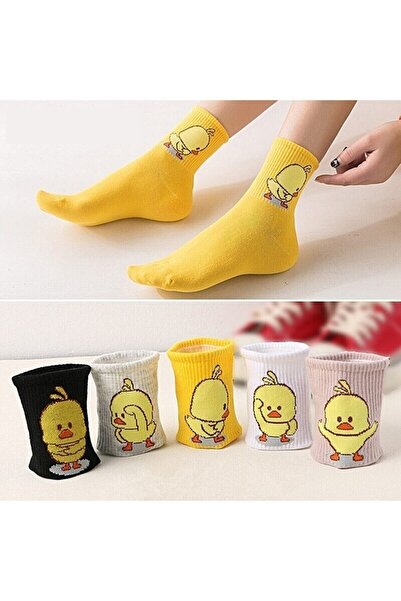 Meguca Socks Kadın Renkli Civciv Desenli Kolej Çorap Seti 5 Çift