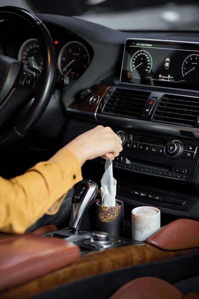 Bamboo Vehicle Napkin Box