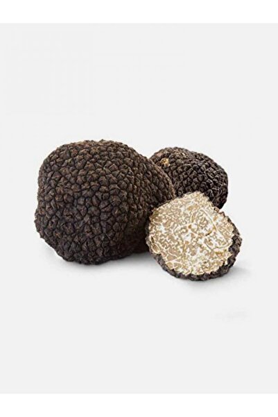 gurme trüf Trüf Mantarı, Taze Siyah Trüf Mantarı, 40 gr, ( Tuber Aestivum)