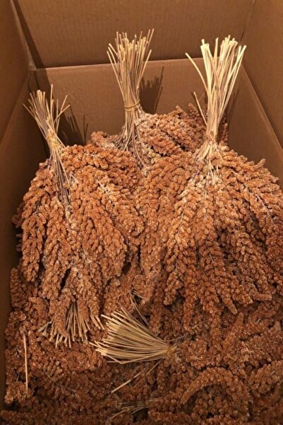 Genel Markalar Daldarı 1 Kg Yeni Mahsül Doğal Dal Darı