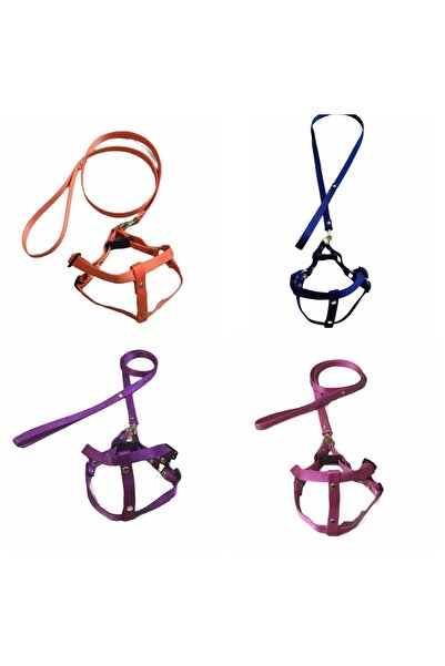 Dino Pet Butik Aksesuar Kedi ve köpek göğüs tasması seti