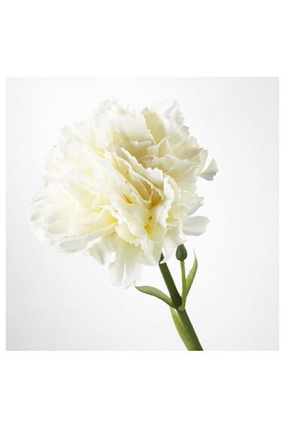 IKEA Λευκό τεχνητό λουλούδι Smycka Carnation