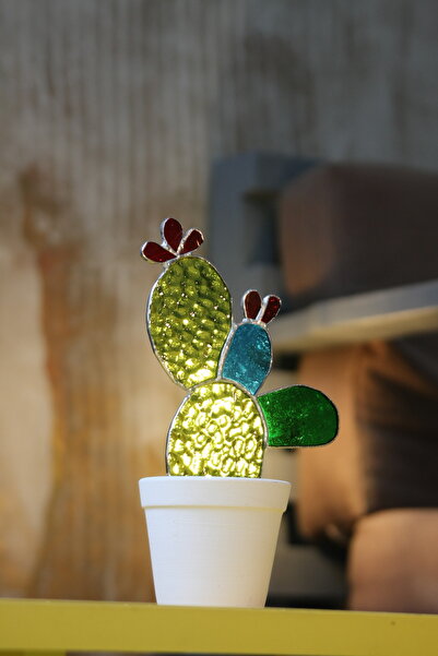 anonim Vitray Kaktüs Çiçek (Sukulent)