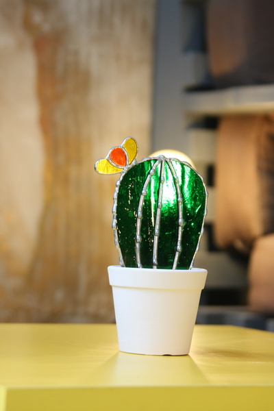 anonim Vitray Kaktüs Çiçek (Sukulent)