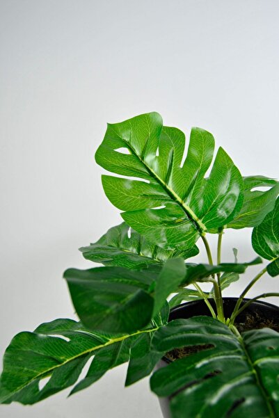 Lilac Home Yapay Çiçek Deve Tabanı