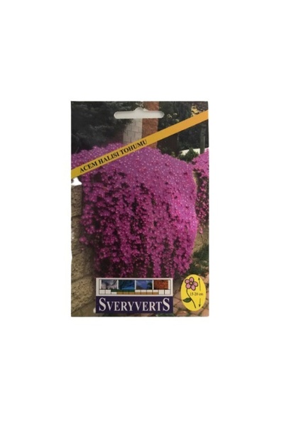 SVERYVERTS Acem Halısı Tohumu