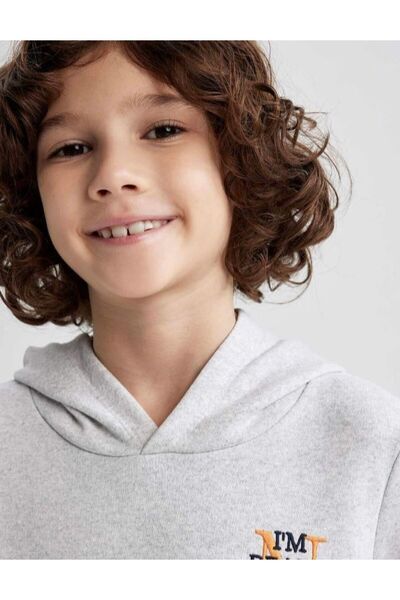 DeFacto Дитячий світшот з шардоном