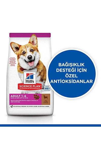 Hill's SCIENCE PLAN Kuzulu ve Pirinçli Küçük ve Mini Irk Yetişkin Köpek Maması 6kg
