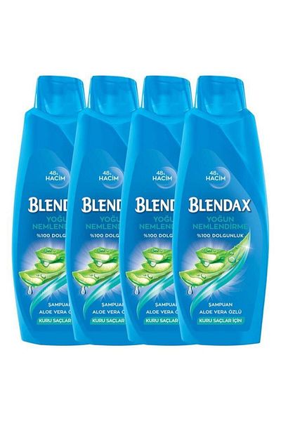 Blendax شامبو الترطيب المكثف بخلاصة الصبار - 500 مل