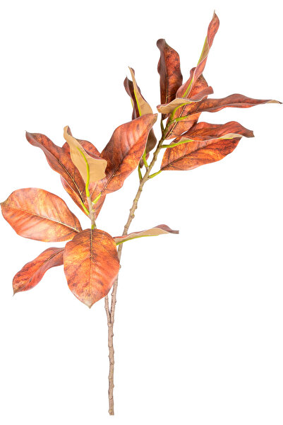 Herdekora Yapay Bitki Manolya Dalı Kahverengi 75 Cm.