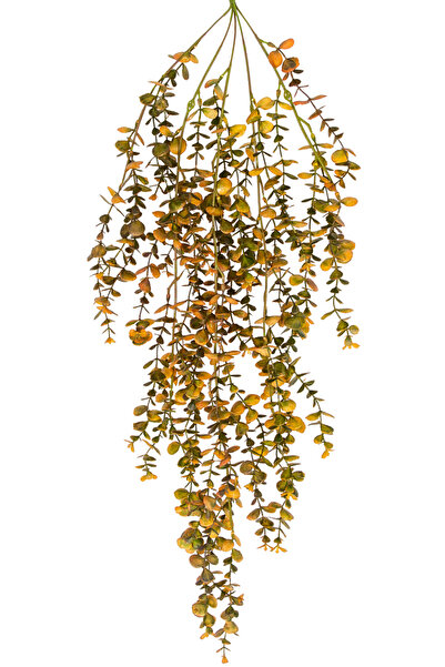 Herdekora Yapay Bitki Sarmaşık Okaliptus Demet Kahverengi-Yeşil 90 Cm.