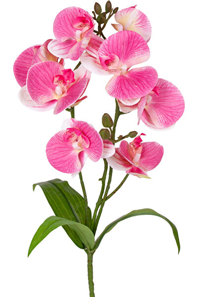 Herdekora أوركيد صناعي لمسة حقيقية وردي 45 سم.