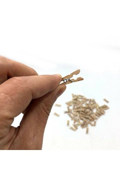 FixPoint Ahşap Mini Küçük Mandal Fotoğraf Asma Mandalı Dekoratif Pano Çerçeve Mandalı 25 Mm 2 Paket (48 Adet)