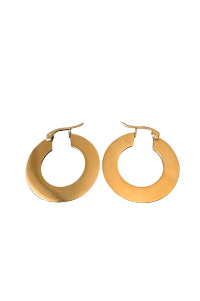petrimor Steel Gold Plate Hoop Earrings
