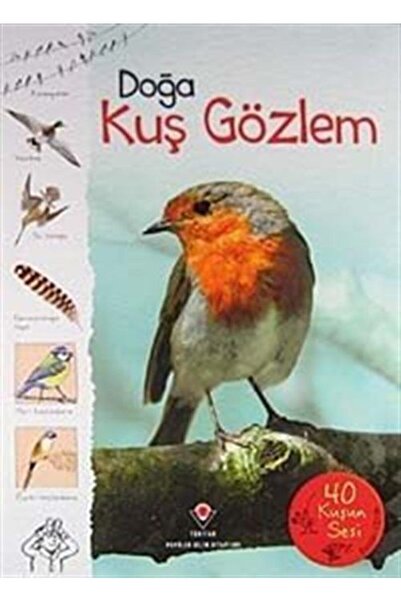 Tübitak Yayınları Yaratıcı Yazarlık Kukla Yayınları Kitap