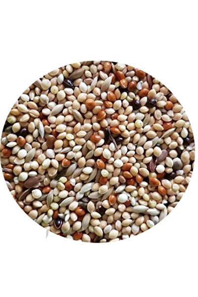 ÇIRPAN KUŞ DÜNYASI Muhabbet Kuşu Lüks Yem 3 Kg (ÖZEL VAKUMLU AMBALAJ) (1 KG X...