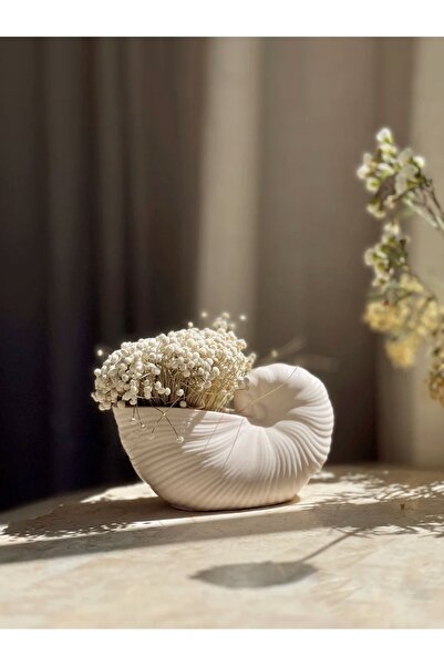 Bautinq Store Deniz Kabuğu Şeklinde Dekoratif Beton Vazo Kase