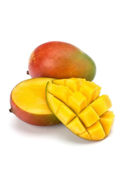 KUZEY TROPİK Mis Kokulu Doğal Mango Yerli 1 Adet