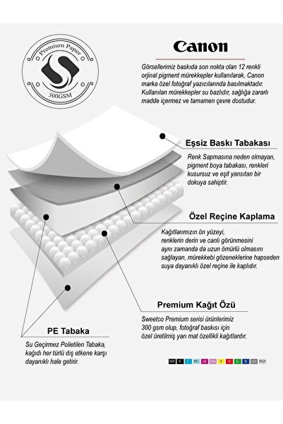 Sweetco Çerçevesiz Poster Colorful Lama | Renkli Lama Posteri