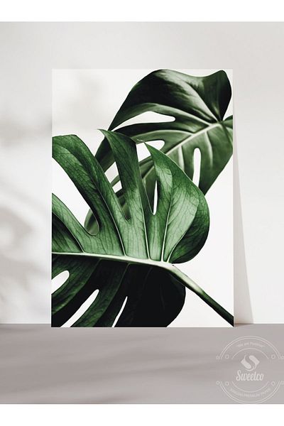Sweetco Αφίσα Twice Monstera χωρίς πλαίσιο |    Αφίσα με φύλλα λουλουδιών πράσινου φυτού