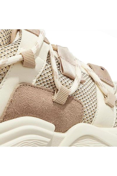 Steve Madden Tazmania Tan/Bone