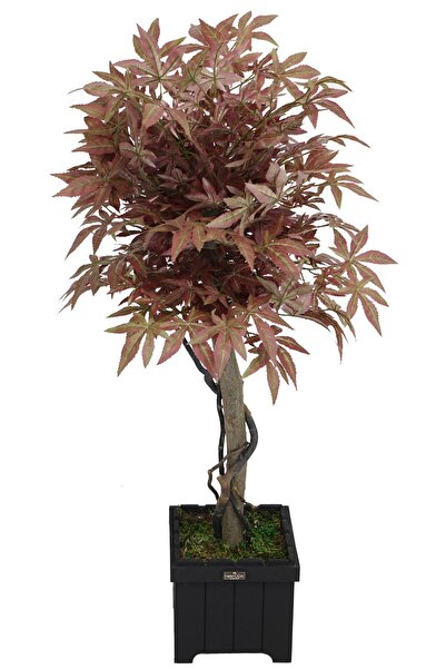 Yapay Çiçek Deposu Yapay Bodur Çınar Ağacı 110 cm Cappuccino