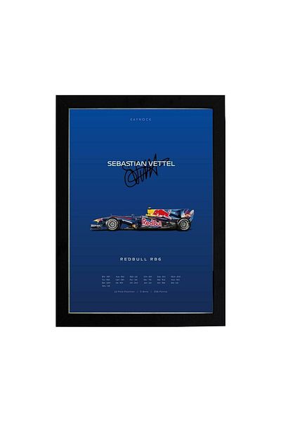 KAYNOCK Pictură poster Sebastian Vettel Rb6, Red Bull Racing Formula 1, pictură cu design digital