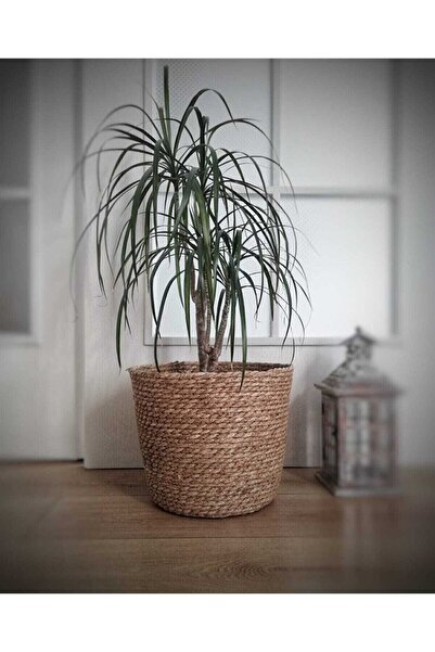 Amentes Hasır Sepet El Örmesi