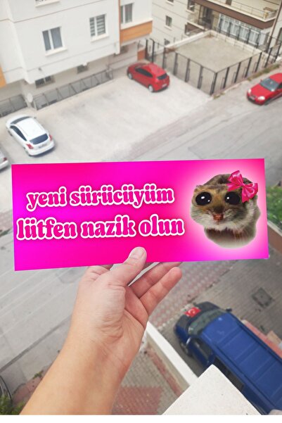 SARANG Pembe Üzgün Hamster Araba Magnet Aksesuar