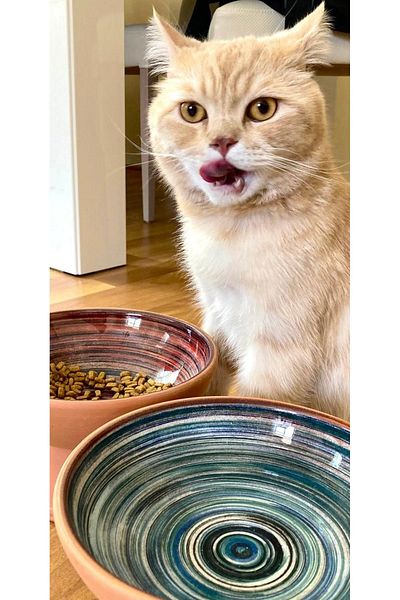 goffin Patterned 3-Legged Large Size 20 cm (Single) Natural Pottery Food-Water Bowl