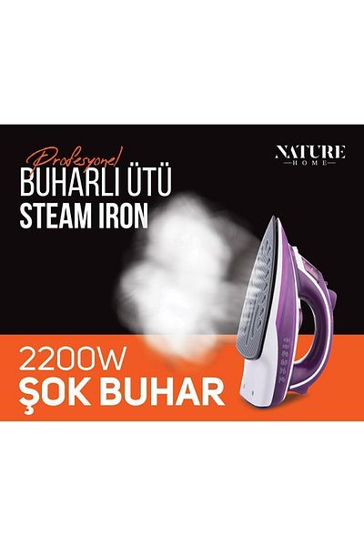 Teba Steam Iron