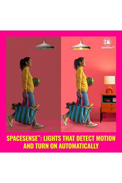 Wiz 智能插头 Wifi 已连接。 App Control for Home Indoor Lighting Automation