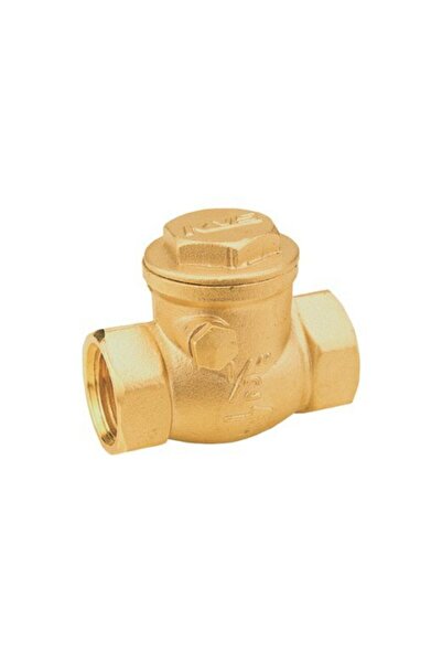 Klepsan Check Valve Chalpara - Pack of 1