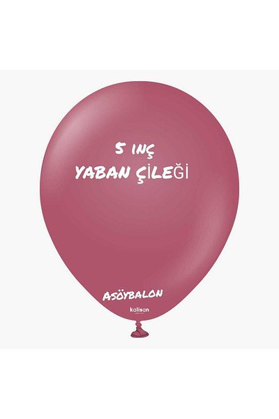 asöy Kalisan Retro Wild Strawberry 5 Inch Small Size 10 Pieces Retro Pastel Matte Balloon