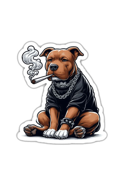MegaSticker Autocolant Gangster Pitbull 13x11 Cm - Mașină, Motocicletă, Cască, Laptop, Parbriz