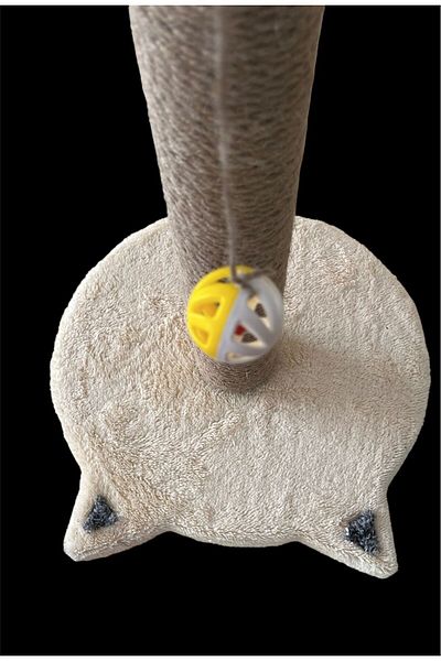 AKÇOSHOP CaT Toy Head - ScraTching