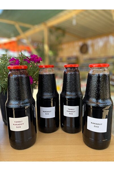 2 Adet Karadut Özü 1400g 2 Adet Taneli Karadut Özü 1400g