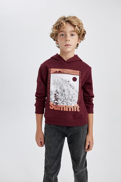 DeFacto Boy's Thick and Hooded Sweatshirt - Printed B3384A823Wn