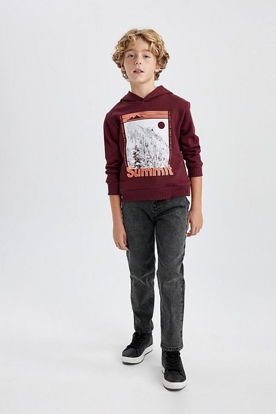DeFacto Boy's Thick and Hooded Sweatshirt - Printed B3384A823Wn