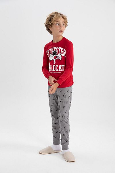 DeFacto Looney Tunes Boy's Pajama Set - Long Sleeve B2641A823Au