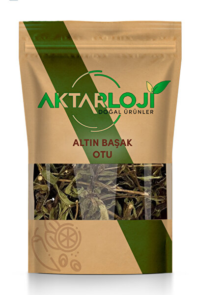aktarloji 150 Gr Altın Başak Otu Kurusu