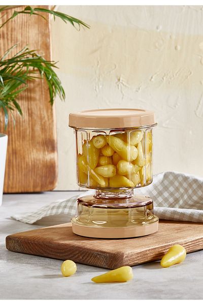 VİP AHMET Mini Cheese and Pickles Container 500 ml