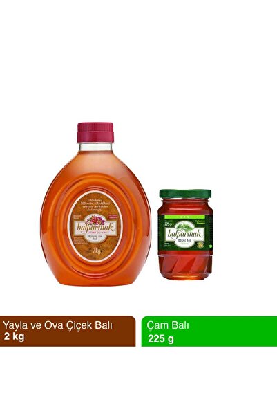 Balparmak Yayla Ova Balı 2 kg ve Çam Balı 225 g