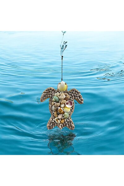 AZRA HEDİYELİK Deniz kabukları ile süslenmiş doğal kaplumbağa duvar dekorasyo...