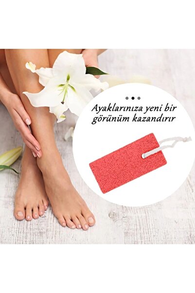 KaktüsKedi 3 Adet Ponza Taşı - Nasır Batık Kıl Giderici Topuk Törpüsü