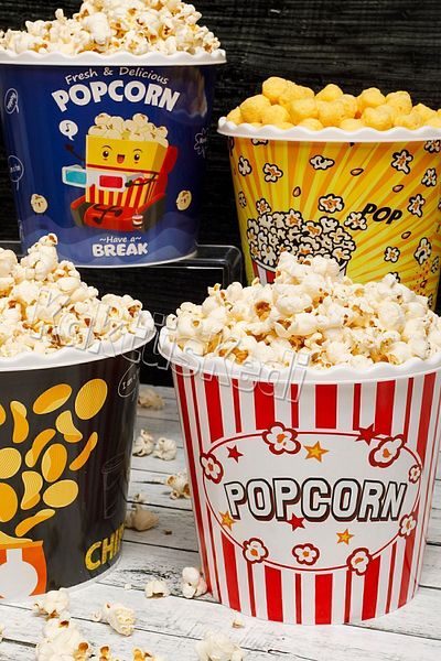 KaktüsKedi 4 Popcorn Buckets| Popcorn Box Set
