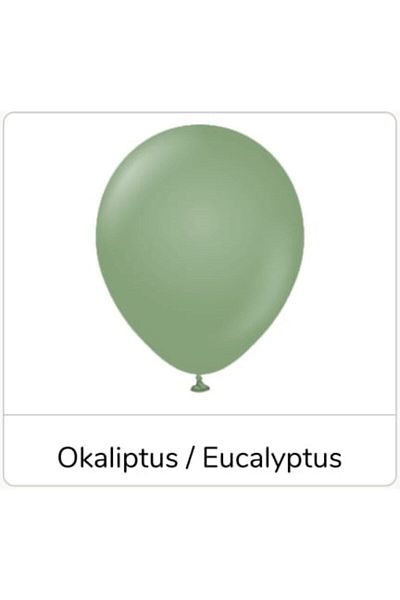 eğlencemarketi 12 Inch Standard Size Retro Balloon 20Pcs Eucalyptus