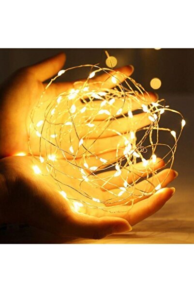 pazariz Peri Led Işık Ip Tipi 3 Metre Pilli Dolanabilen Suya Dayanıklı