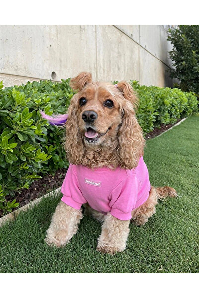 Lolidogs Kaşkorse Köpek Sweatshirtü Candy Şeker Pembe
