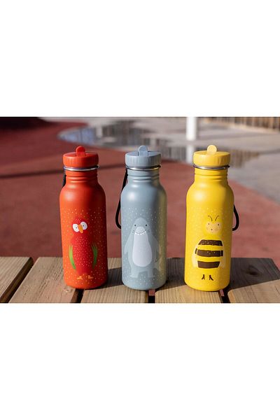 Trixie Stainless Steel Water Bottle (500 ml) - Mrs. Bumblebee